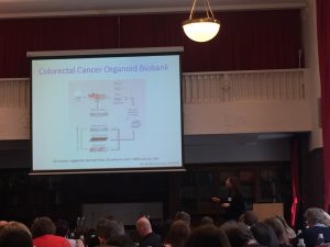 Dr. Hayley Francies talks about next generation of cancel cell