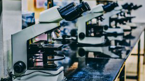 microscopes lined up on tables in a research lab