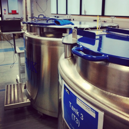 RoyalFree_Bank RFL Biobank